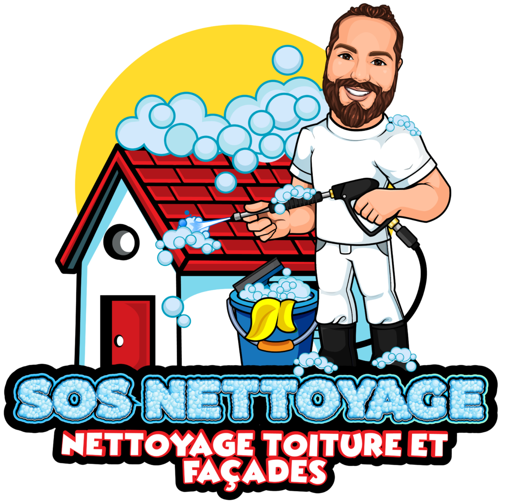 traitement Nettoyage Démoussage Décapage hydrofuge Toiture Façades Terrasse Nettoyage Démoussage Toiture Façades Terrasse Angoulême Charente Cognac Angoulême Charente Cognac