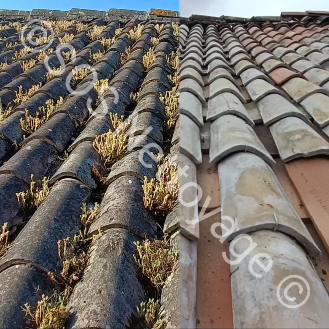 traitement Nettoyage Démoussage Décapage hydrofuge Toiture Façades Terrasse Nettoyage Démoussage Toiture Façades Terrasse Angoulême Charente Cognac Angoulême Charente Cognac