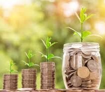 traitement Nettoyage Démoussage Décapage hydrofuge Toiture Façades Terrasse Nettoyage Démoussage Toiture Façades Terrasse Angoulême Charente Cognac Angoulême Charente Cognac